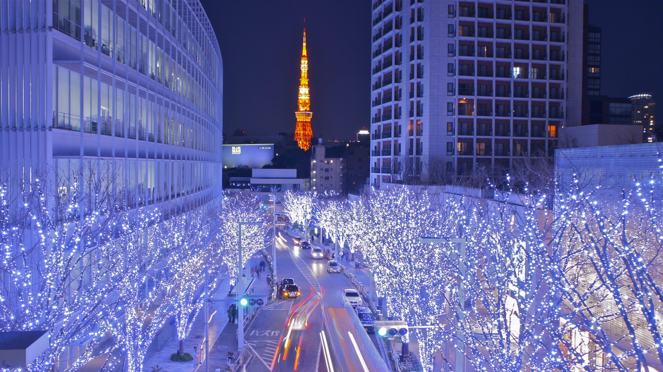 Tokyo winter illuminations lighting up the city