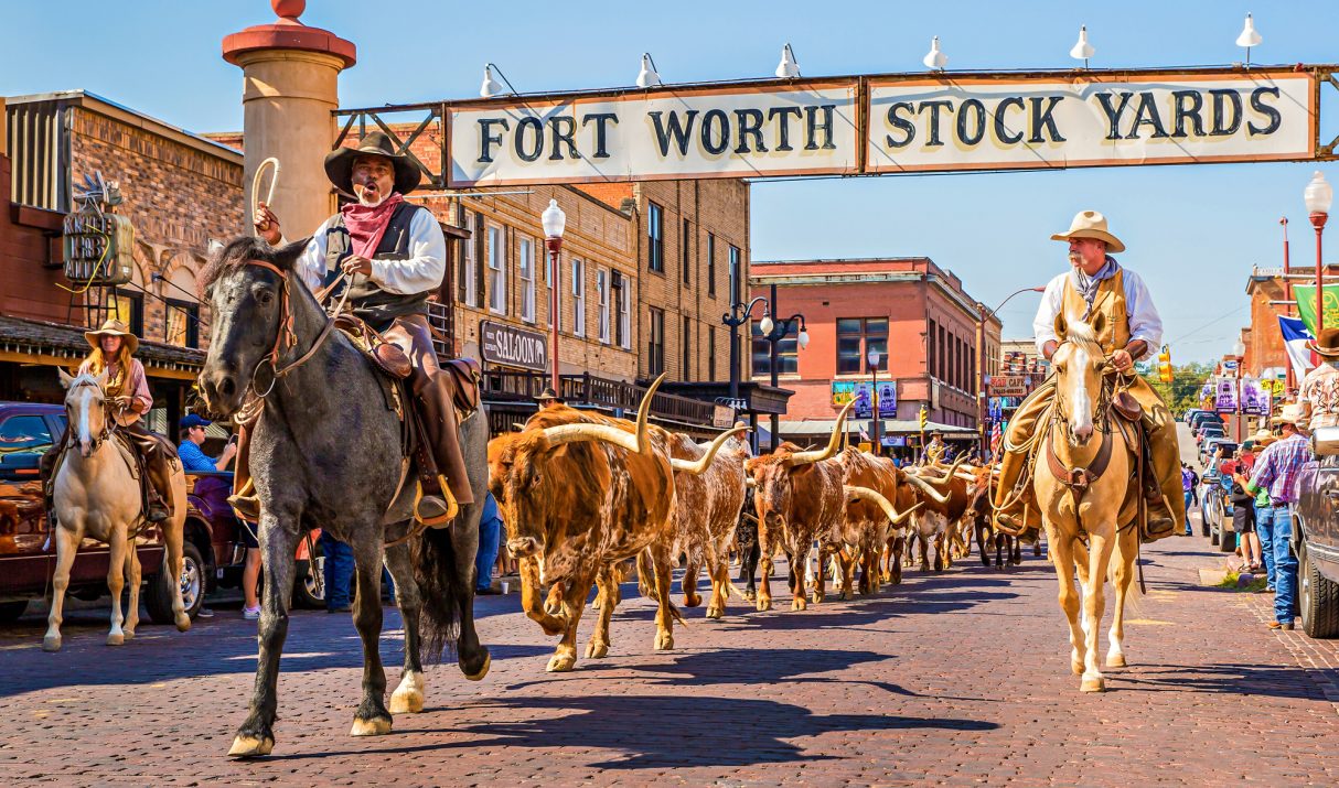 15 Things to Do in Texas