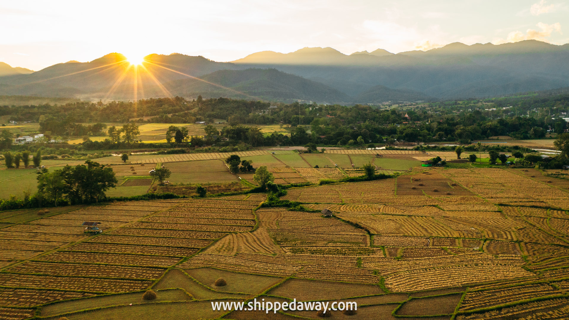 Pai Thailand rice fields mountains