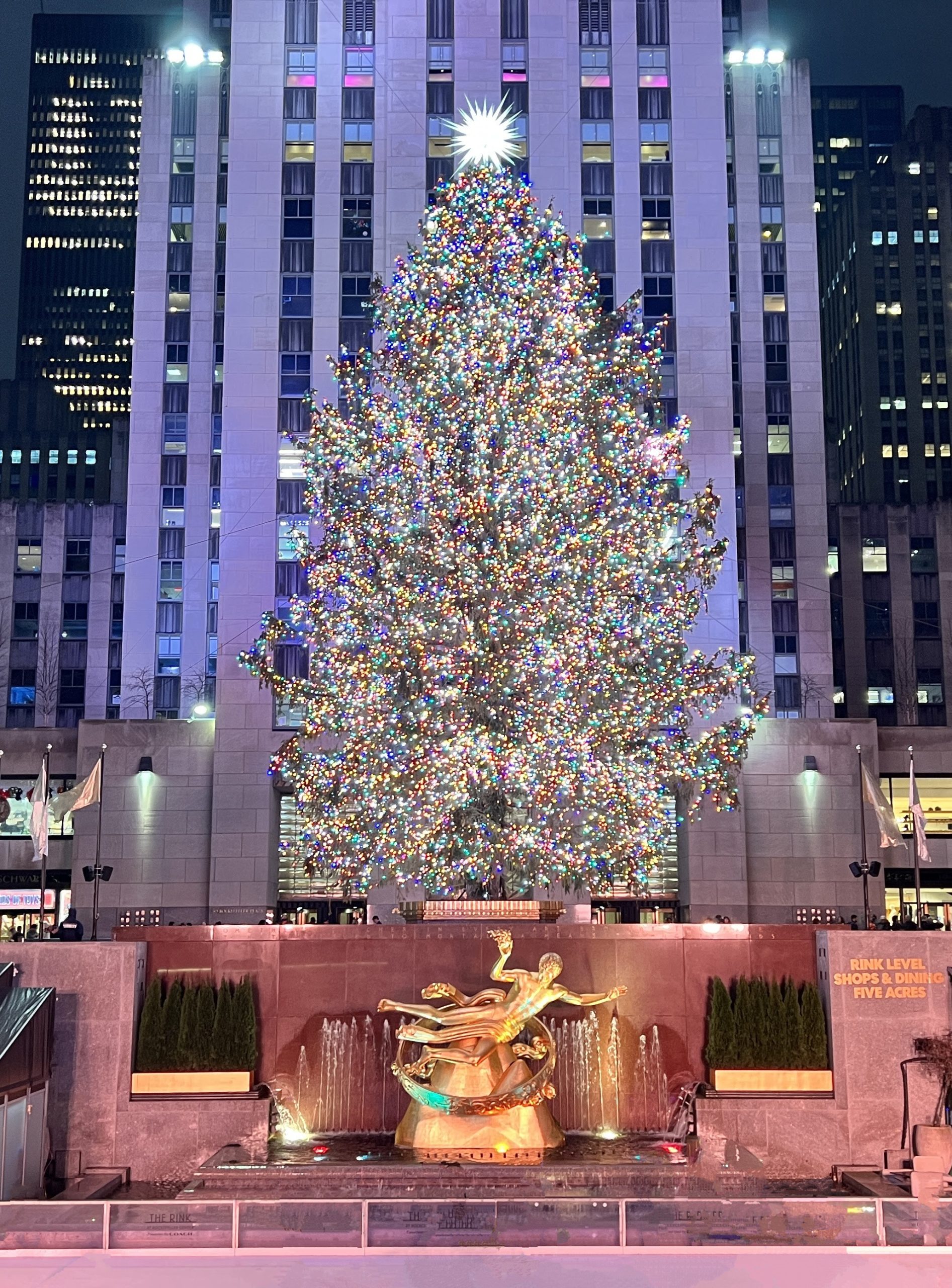 Rockefeller Center Christmas Tree in New York City