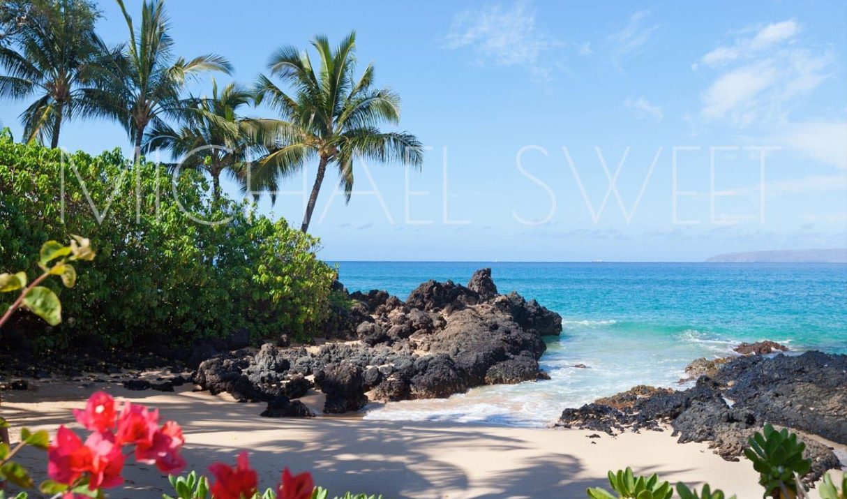 The Ultimate Guide to the Best Vacation Spots in the USA